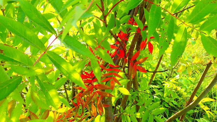 a0242984_03144900.jpg