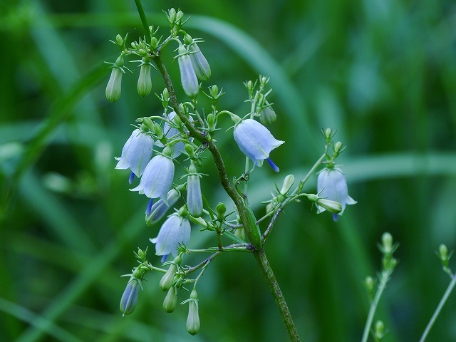d0088184_22102472.jpg