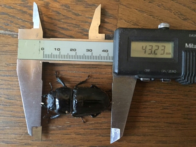f0183484_16112093.jpg