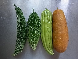 e0155085_20201545.jpg