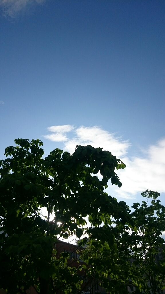 b0340187_07182774.jpg