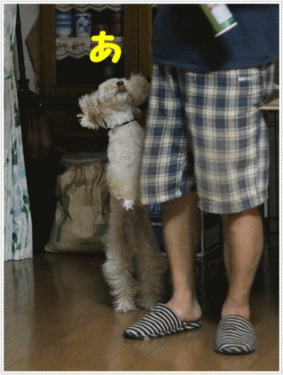 b0175688_21205322.gif