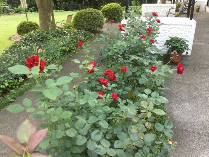 f0268294_19072600.jpg