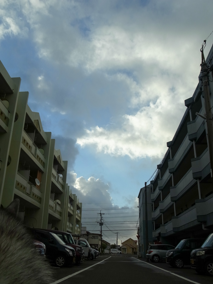 c0049299_22074920.jpg