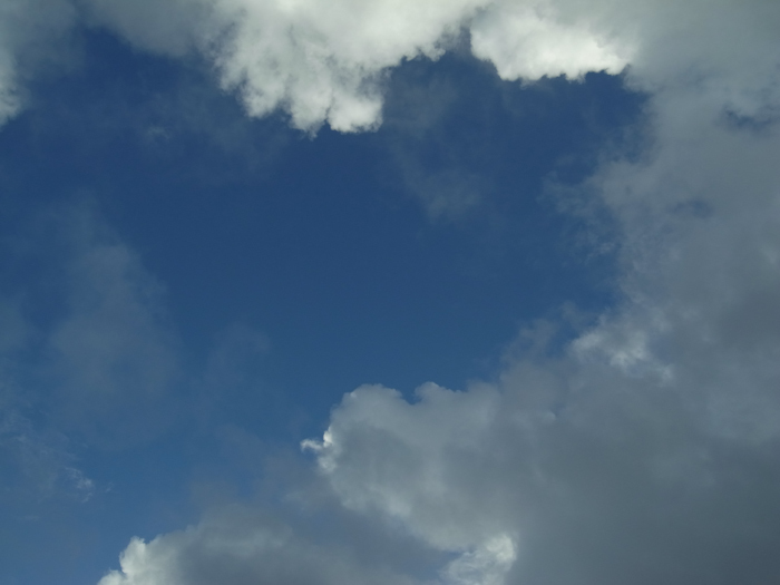 c0049299_22174149.jpg