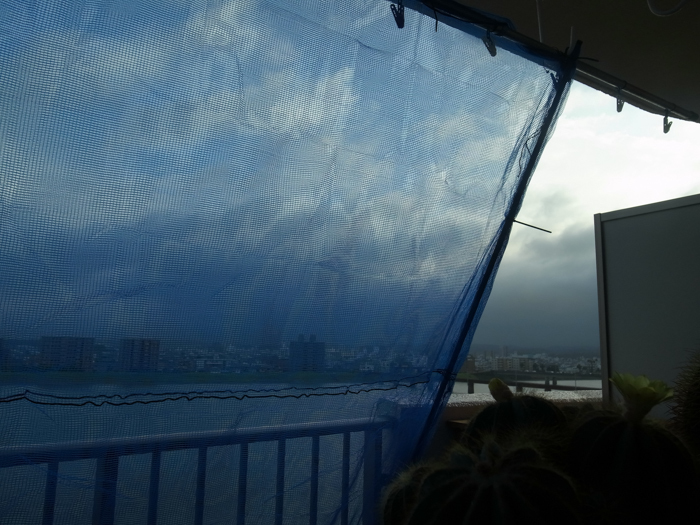 c0049299_22212845.jpg