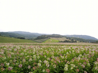 f0123099_19591164.jpg
