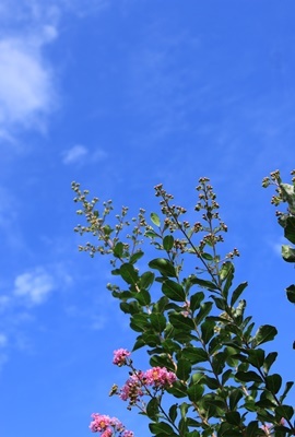 a0123003_09142750.jpg