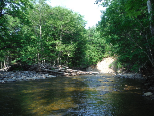 b0172805_14342996.jpg