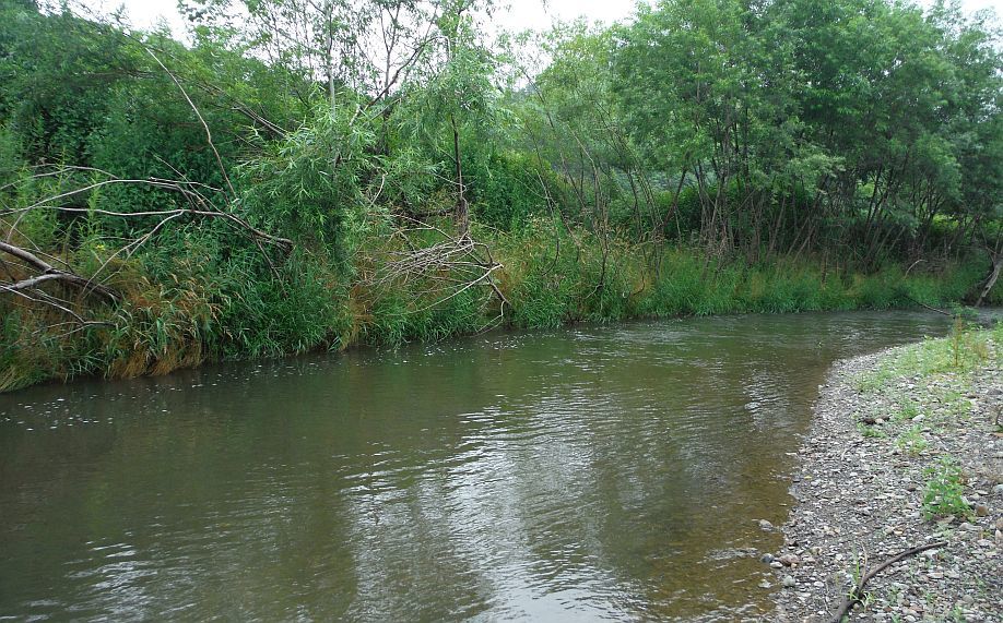 b0172805_22555620.jpg
