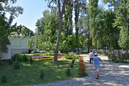 a0151913_15818100.jpg