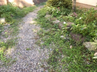 e0231614_7511160.jpg