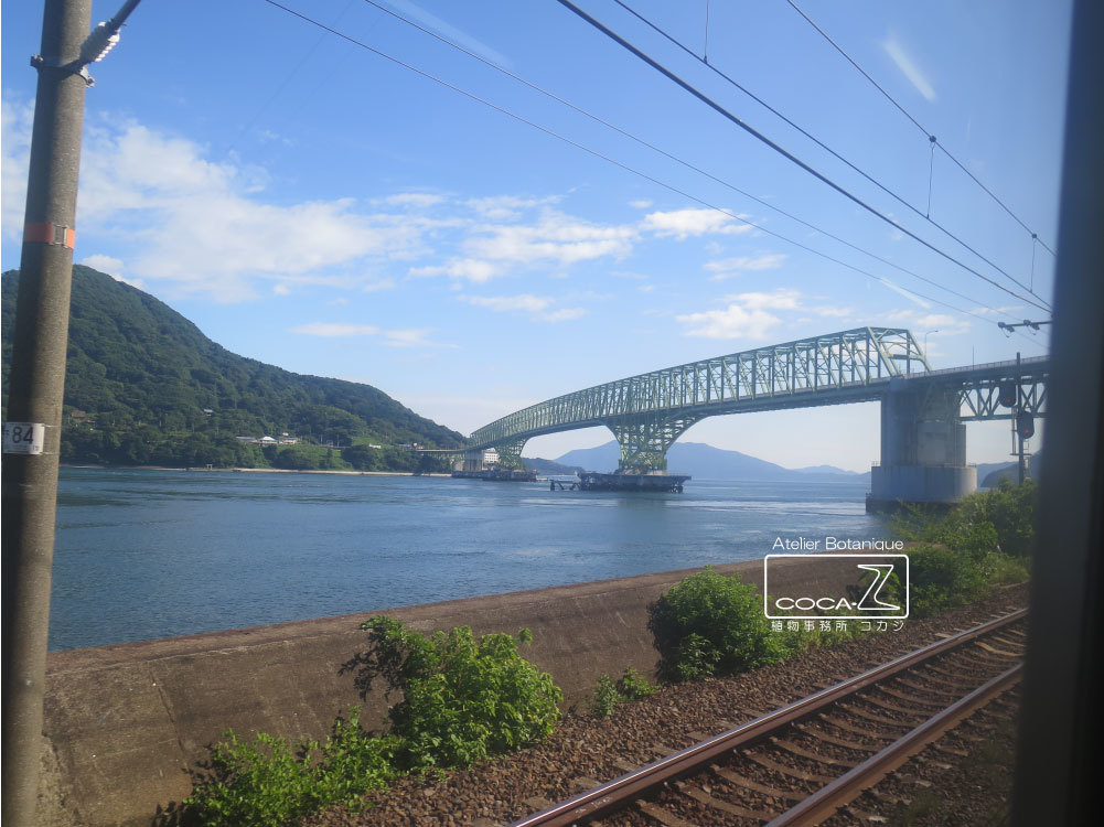 b0160123_00262405.jpg