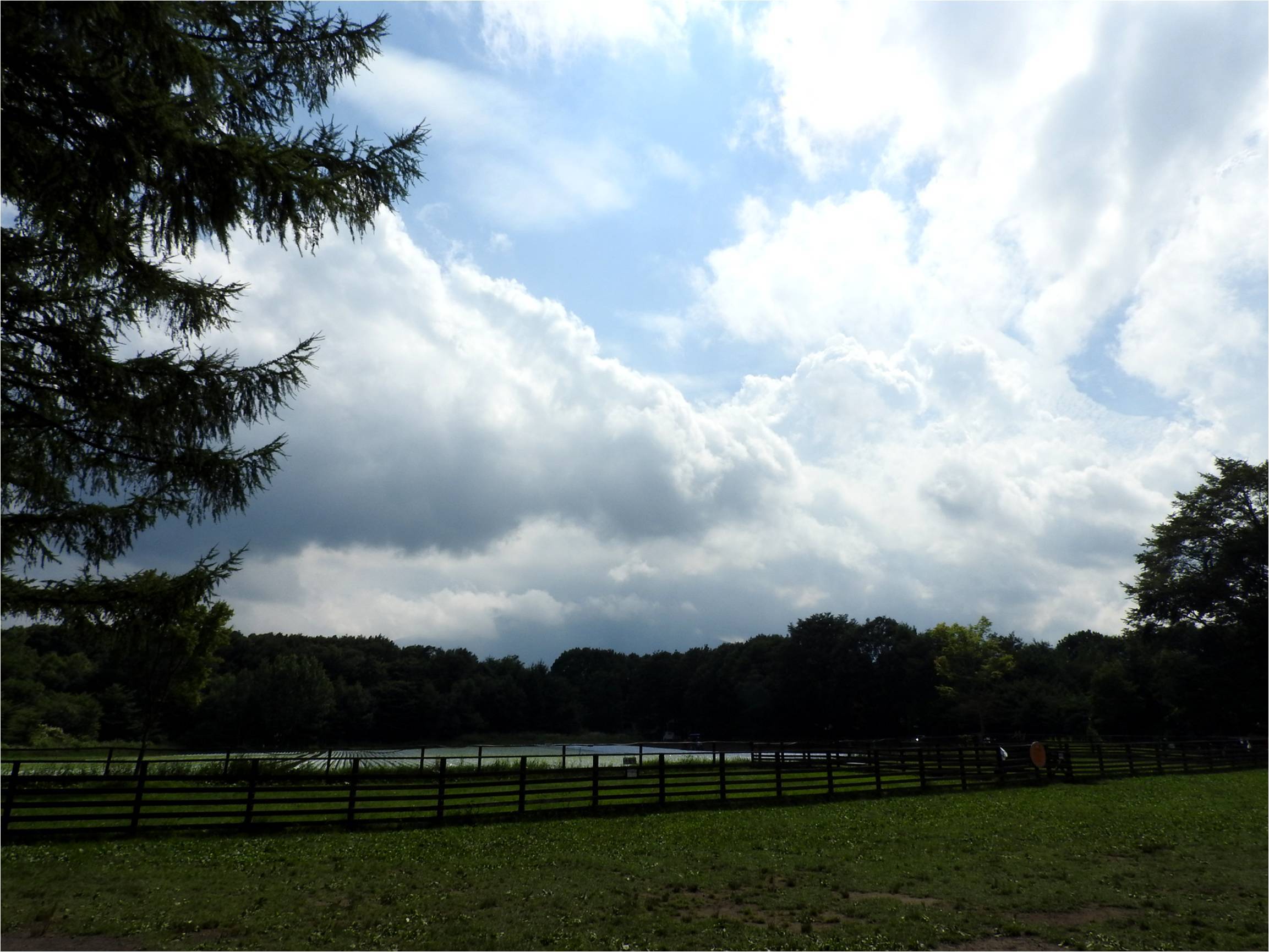 b0174425_18213050.jpg