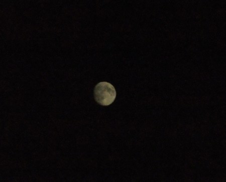b0137932_22384937.jpg