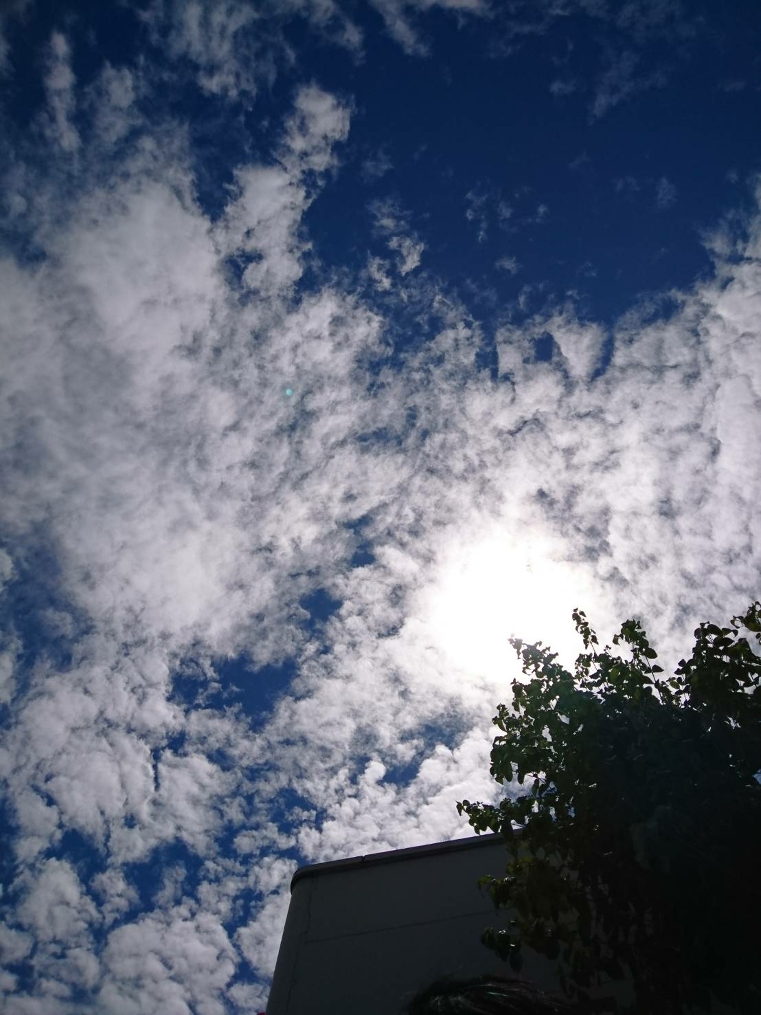 e0166032_16401194.jpg