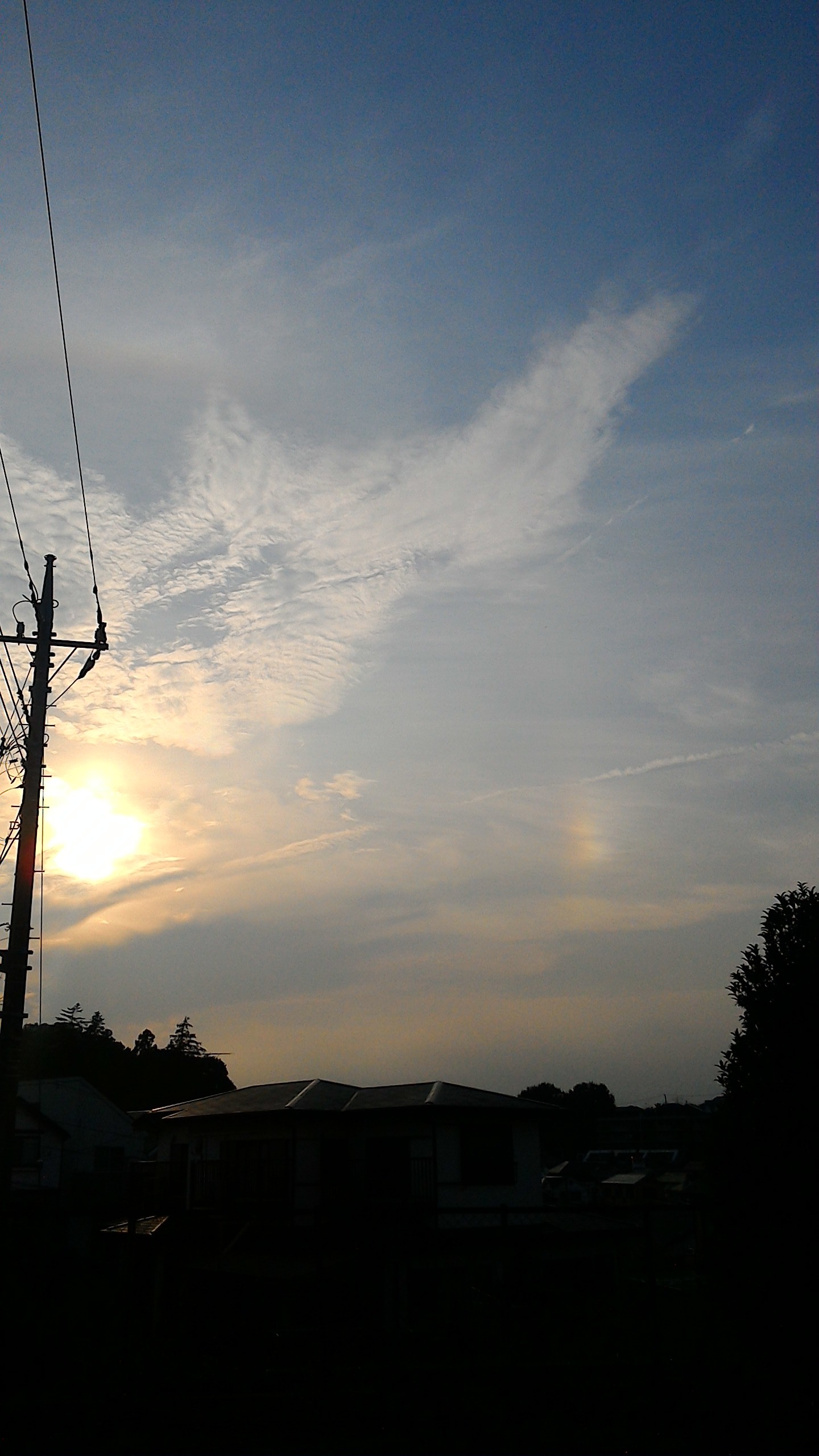b0267534_20152365.jpg