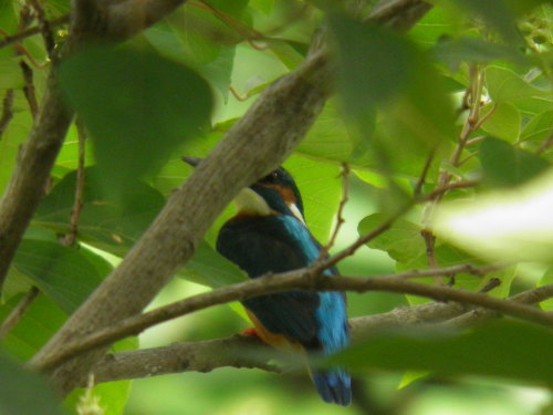 c0338136_15134458.jpg
