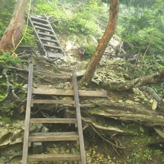 c0077338_12173935.jpg