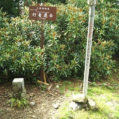 c0077338_12181166.jpg