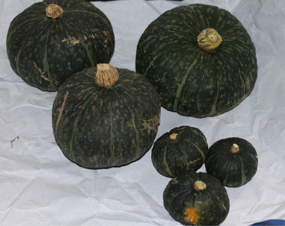 c0359445_21105550.jpg