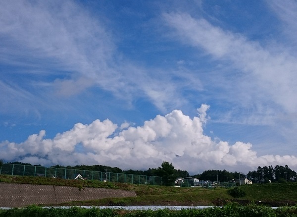 d0306248_15543718.jpg