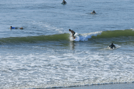c0145250_08415590.gif