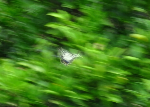 a0018655_14373012.jpg
