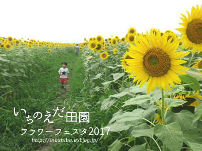a0286855_08130911.jpg