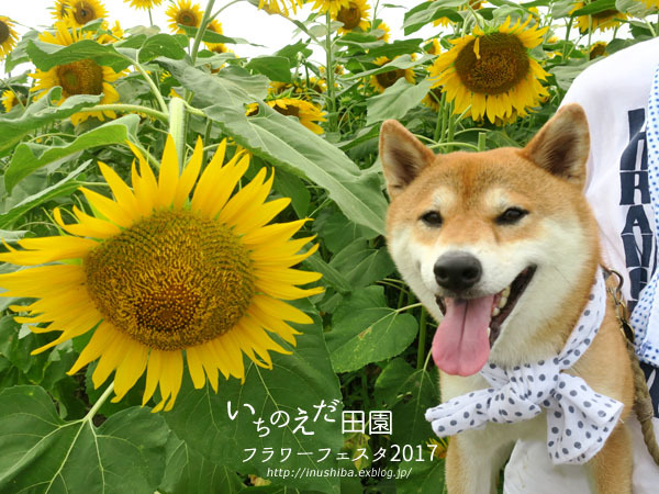 a0286855_08141287.jpg