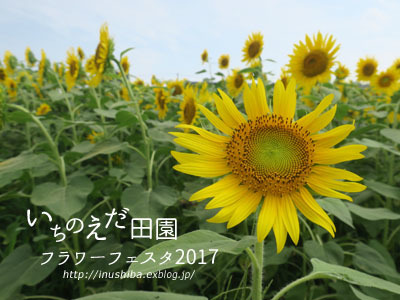 a0286855_08142229.jpg