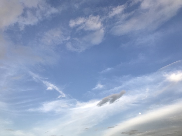 b0002156_21385388.jpg