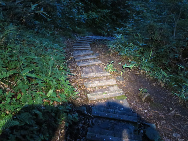 c0116856_21114412.jpg
