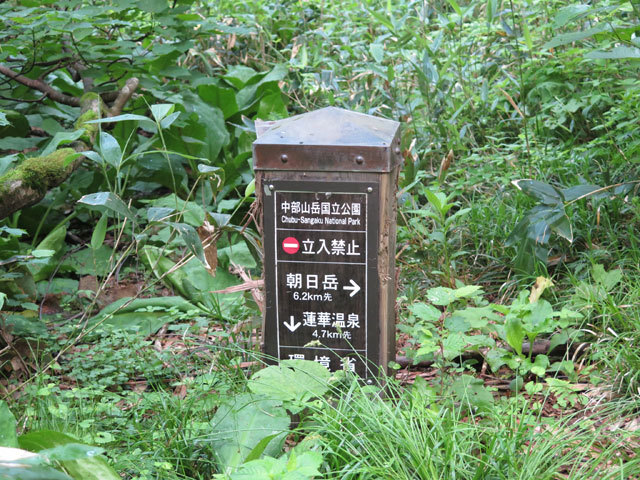 c0116856_21141297.jpg