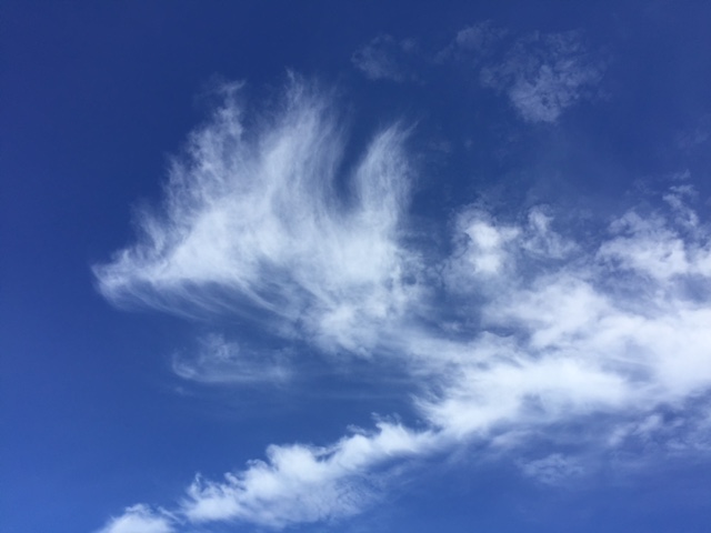 e0133656_2142763.jpg