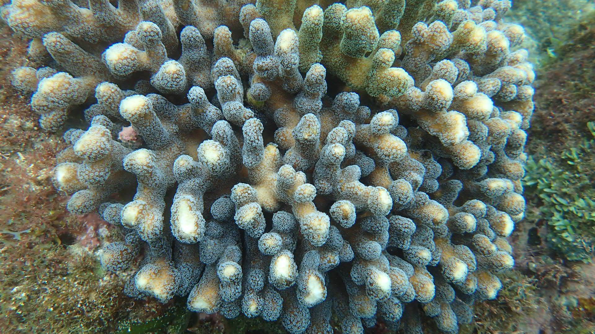 b0160957_19020156.jpg