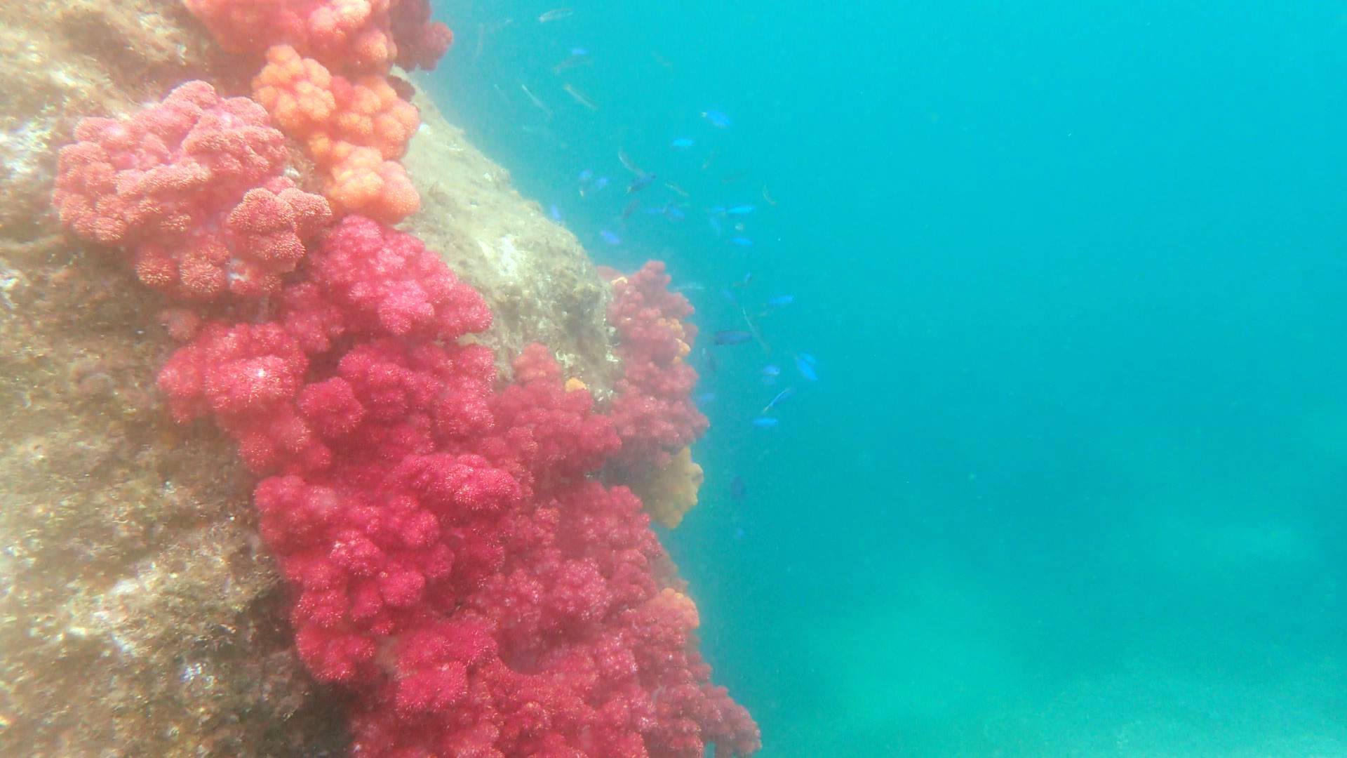 b0160957_19025124.jpg