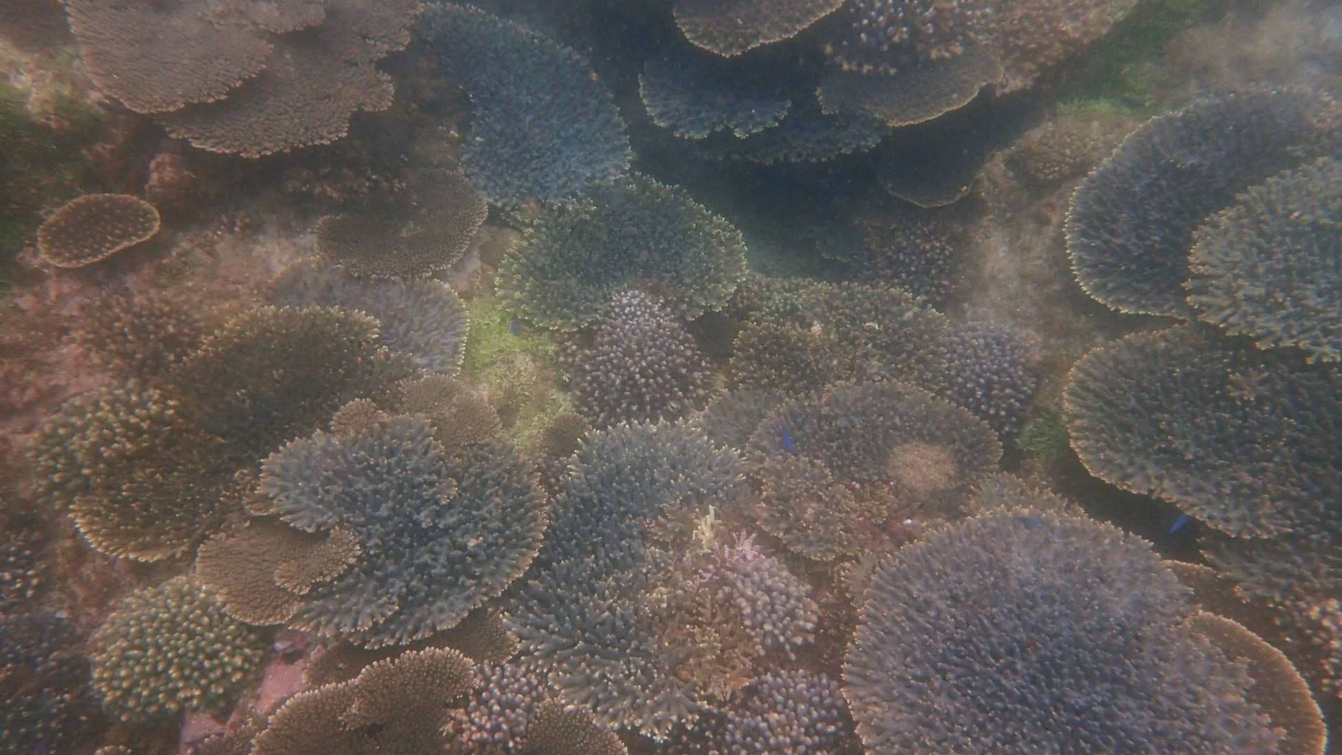 b0160957_19033601.jpg