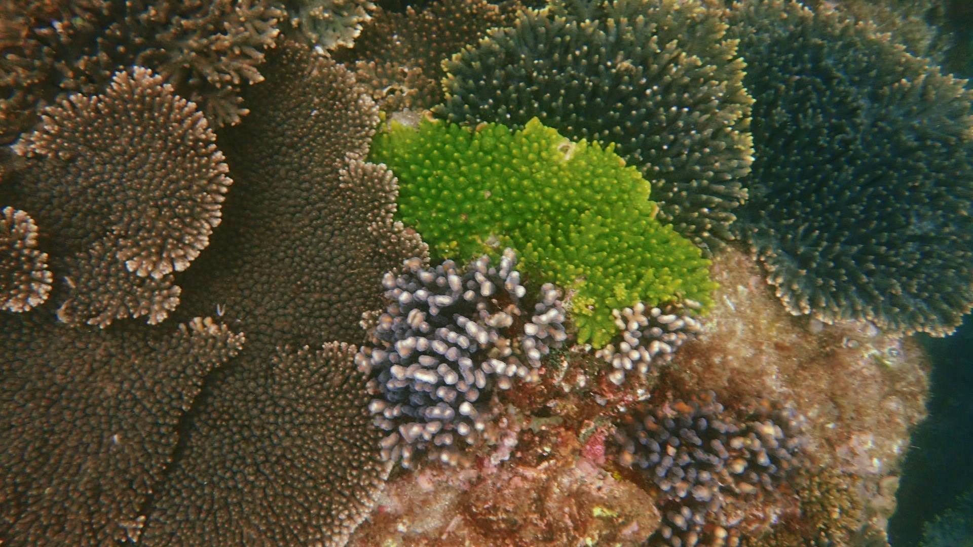 b0160957_19041394.jpg