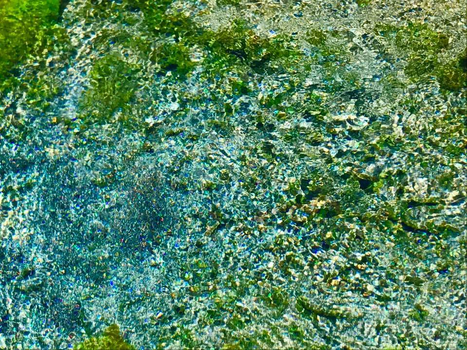 b0160957_19211352.jpg
