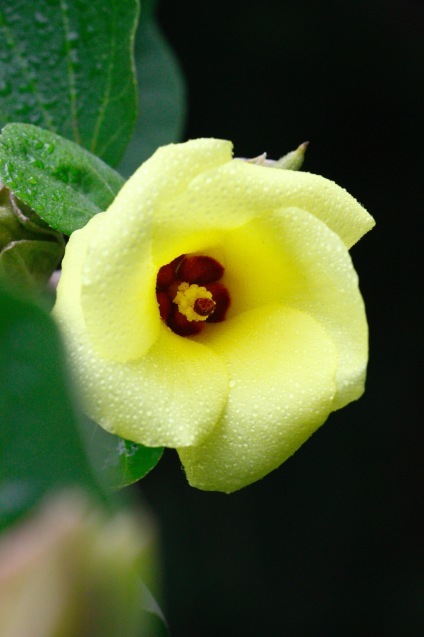 a0248459_14185240.jpg