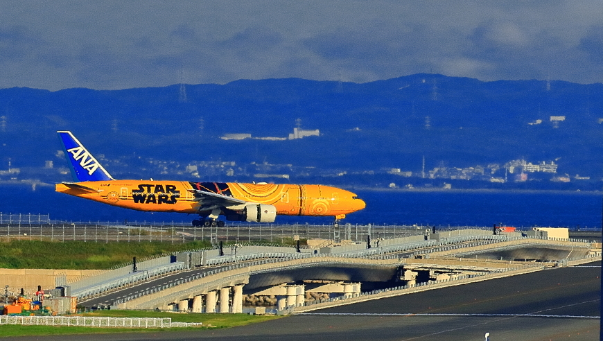 a0150260_20000153.jpg