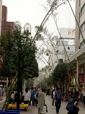 c0050264_19115576.jpg
