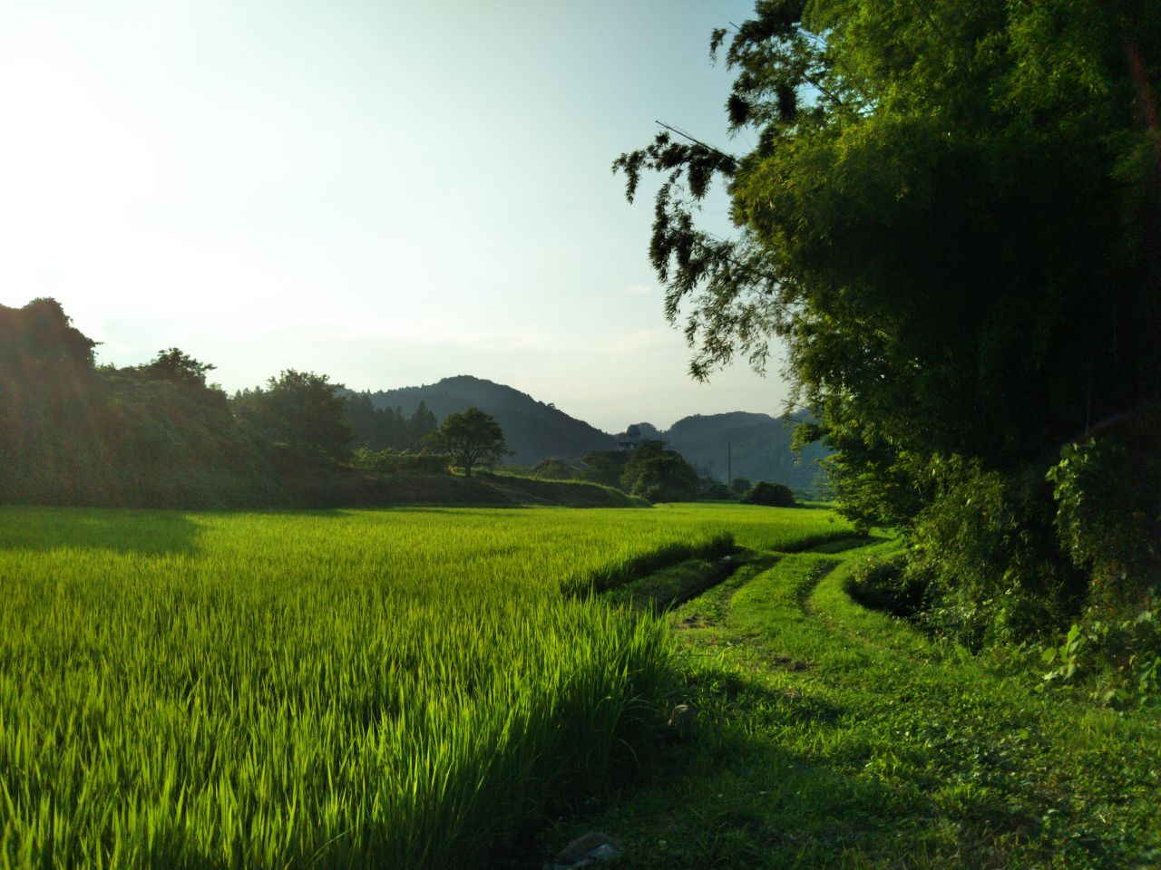 f0208665_17355256.jpg