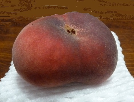 e0278968_23252035.jpg