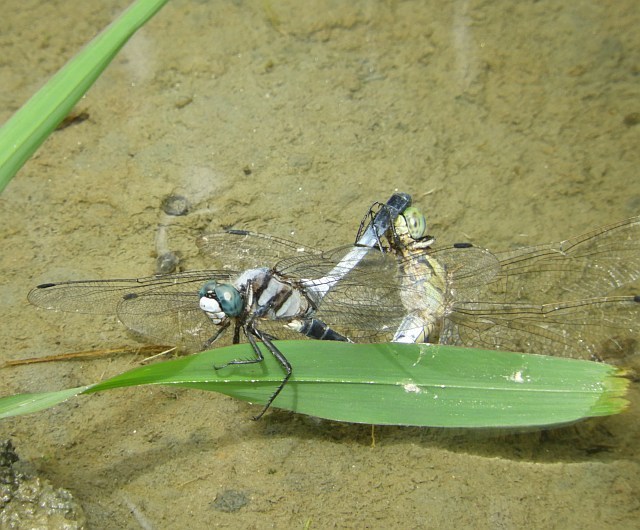 f0378979_16082255.jpg