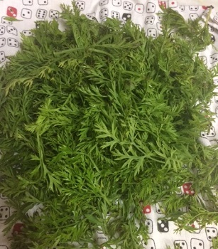 c0338191_00494410.jpg