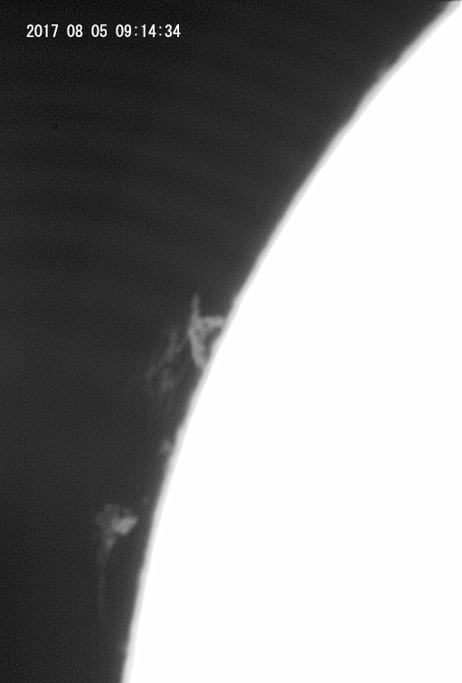 e0174091_11441404.jpg