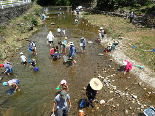 b0049200_16141006.jpg
