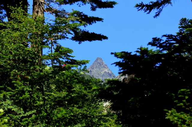 e0137200_15415016.jpg